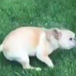 Meet your Posher, Zaya